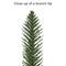 5ft. Pre-Lit Alpine Artificial Christmas Tree, Clear Lights